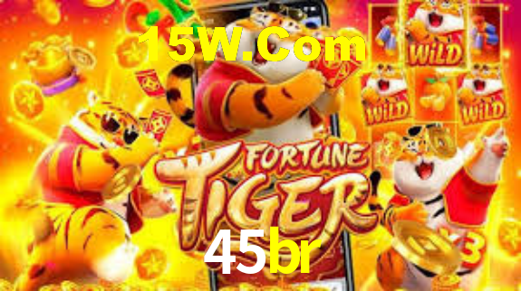 45br.com
